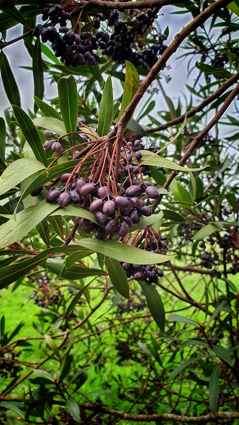 20200321 162946 01 resized