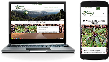 dorrigo pepper website